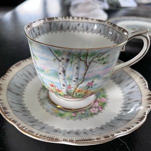 Silver Birch Bone China tea cup and saucer … mint condition